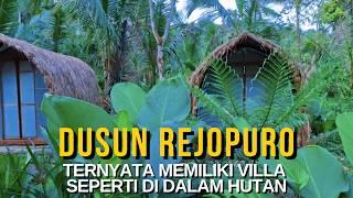 Dusun rejopuro ternyata memiliki Villa nuansa hutan belantara I kehidupan di pedesaan  banyuwangi