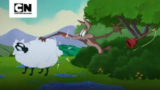 A BATALHA NO CURRAL | LOONEY TUNES CARTOON | CARTOON NETWORK