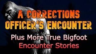 A CORRECTIONS OFFICER'S ENCOUNTER   Plus More True Bigfoot Encounter Stories