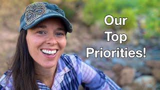 Week One on Our Desert Homestead | Top Priorities