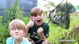 Catching Bugs in the Backyard - Catch Grasshoppers, Spiders and Praying Mantis in net - Bug Catcher