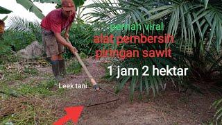 ALAT PEMBERSIH PIRINGAN SAWIT MASIH KECIL, CEPAT DAN MUDAH #sawit #kebunsawit #petanisawit