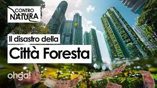 Da sogno green a CITTÀ FANTASMA, come la geopolitica ha portato Forest City al fallimento