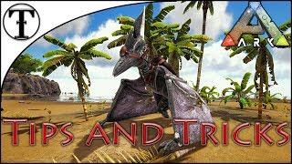 Fast Pteranodon Taming Guide :: ARK : Survival Evolved Tips and Tricks