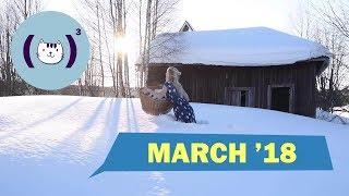 Лучшие кубы марта 2018 / Best coubs of march 2018 / #43