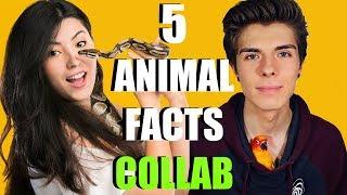 5 Amazing Animal Facts | Tyler Rugge Collab | Five Animal Facts