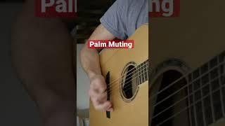 Palm Muting - Guitar Lesson #guitarlesson #learnguitar #guitarlessons #beginnerguitar