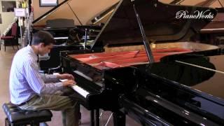 Hailun HG218 | Beethoven | PianoWorks