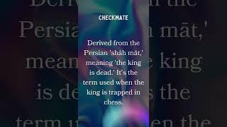 Checkmate Chronicles | The King's Final Stand