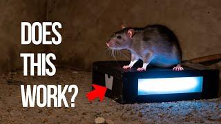 Do Strobe lights repel RATS……