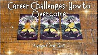 Pick-a-Card: CAREER CHALLENGES - How can you overcome them?