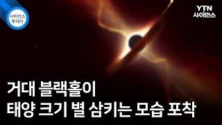 거대 블랙홀이 태양 크기 별 삼키는 모습 포착 / YTN 사이언스