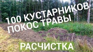 Расчистка от бурьяна, порядок на участке l Зелёный Вектор