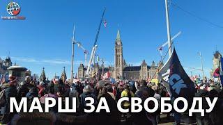 Конвой свободы Канада: толпы протестующих добрались до Оттавы