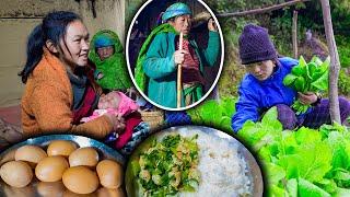 Egg & Green Mustard (RAYO) mix Recipe with Rice | Village style cooking and eating | New Nepali vlog