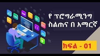 ሶፍትዌር ፕሮግራሚንግ #1  Introductions to Programming in Amharic