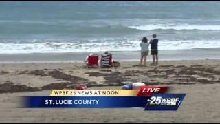 Beaches reopened in St. Lucie County after shark sightings