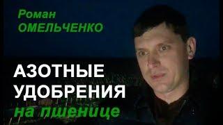 Как более эффективно вносить азотные удобрения на озимой пшенице