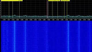 RTL-SDR Test 6: New antenna | Live 