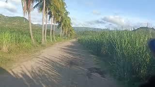 Beautiful Sunday morning  ️ in the Philippines ️