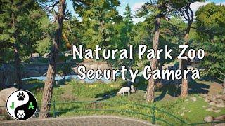 Planet Zoo: Natural Park Zoo // securty camera // Jensachten