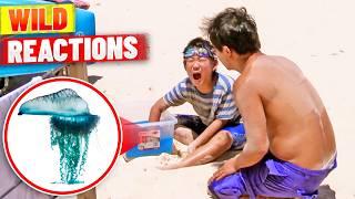 The Wildest Reactions To Jellyfish Stings