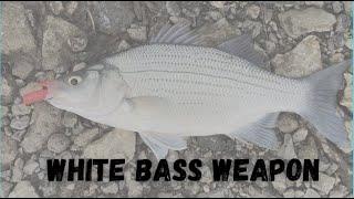White Bass Rig - Maumee River