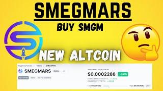 How to Buy SMEGMARS Token in PancakeSwap | SMGM coin