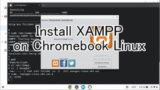 Install XAMPP on Chromebook Linux