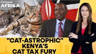 Kenyan Feline Owners Furious Over ''Cat Tax'' | Firstpost Africa