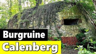 Erlebe die spannende Burgruine Calenberg bei Schulenburg