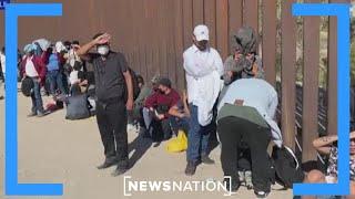 White House flying deported Cameroonian migrants back into US: Report | Morning in America