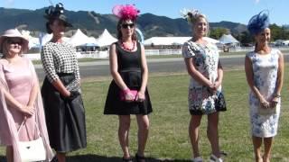 Nelson Harness Races - Fashion in the Field