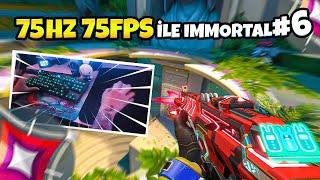 75 HZ + 75 FPS ile Sıfırdan İMMORTAL'a Kasıyorum 6.Bölüm (Valorant)