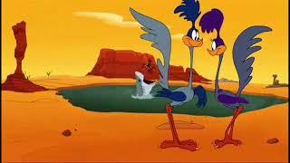 Roadrunner & Female (Looney Tunes Whizzard of Ow Roadrunner & Coyote)