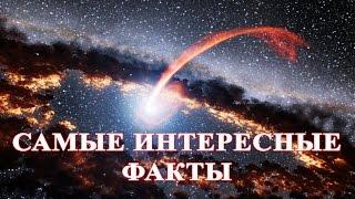 Самые интересные факты обо всем на свете. Невероятные факты из жизни