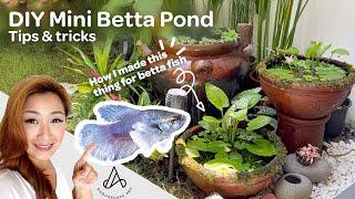 Simple DIY mini patio pond: How to make betta fish pond at home - complete ecosystem NO TECH!