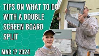 Tips on What To Do With a Double Screen Board Split - Jacksonville FL Zone 9b