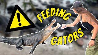 I Fed ALLIGATORS at a Party in Florida! (AnimalConUSA)