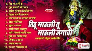 १३ विठ्ठल भक्तीगीते व अभंग | विठू माऊली तू माऊली जगाची : 13 Vitthal Songs Marathi