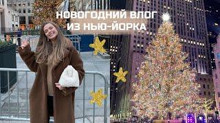 НОВОГОДНИЙ ВЛОГ ИЗ НЬЮ-ЙОРКА.  ГУЛЯЕМ ПО ГОРОДУ. {DARY YORK}