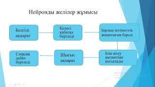 10 сынып Нейронды желілердің жұмысы мен ұйымдастыру принциптері