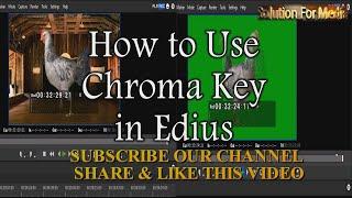 HOW TO USE CHROMA KEY IN EDIUS 6,7,8 || Chromakey Use/ CHROMA KEY AND GREEN SCREEN /EDIUS TUTORIAL