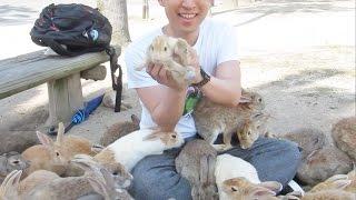 Guy Swarmed by Bunnies on Rabbit Island!
