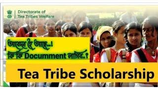 Tea Tribe Schoolrarship 2022-Pre-Matric And Post Matric Scholarship Online apply All Do comments