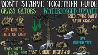 Don't Starve Together Guide: Grass Gators - DAILY LEAFY MEAT/TWIG FARMS! - Waterlogged Update [BETA]