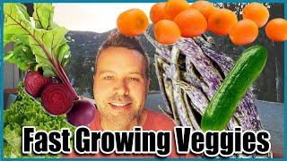 10 Fastest Growing Vegetables You Can Grow NOW!