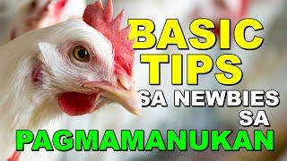 BASIC TIPS SA NEWBIES SA PAGMAMANUKAN