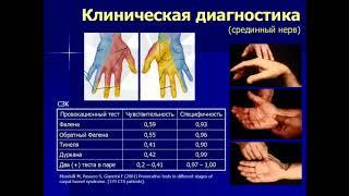 Малецкий Э.Ю. «Роль УЗИ в диагностике поражений периферических нервов»