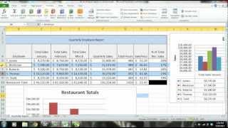 MS Excel 2010 Tutorial: Employee Sales Performance Report, Analysis & Evaluation - PART 2